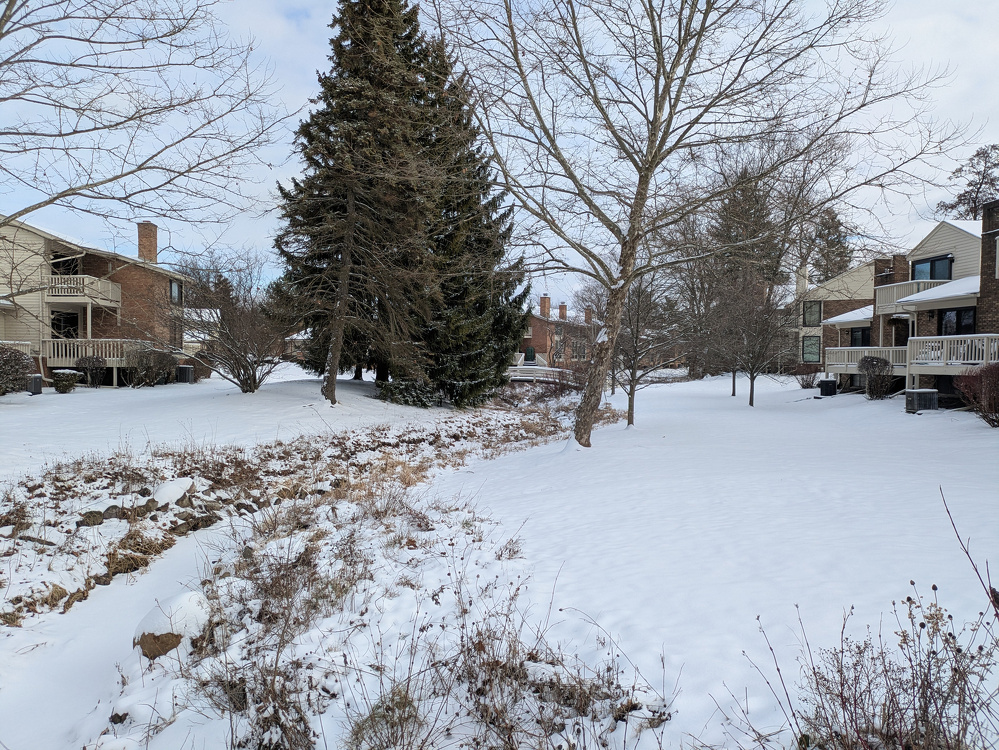 A snowy residential neighborhood features houses, trees, and a snow-covered lawn.