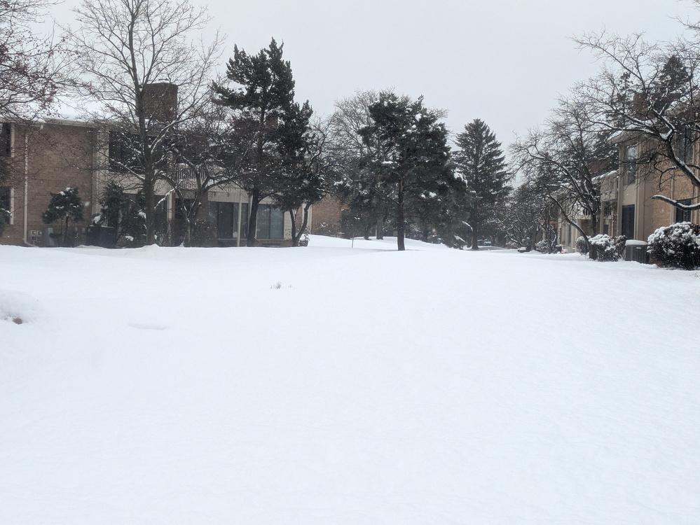 A snowy landscape features trees and buildings under a gray sky.