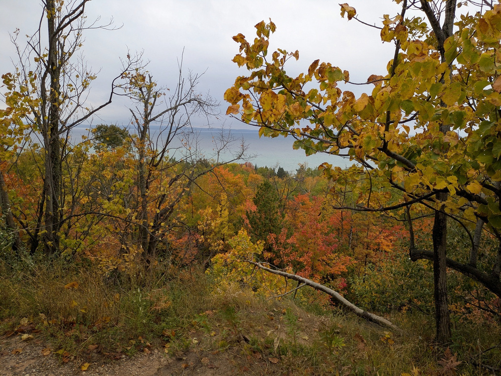 A scenic view captures vibrant autumn foliage in a forested area with a distant body of water and overcast sky.
