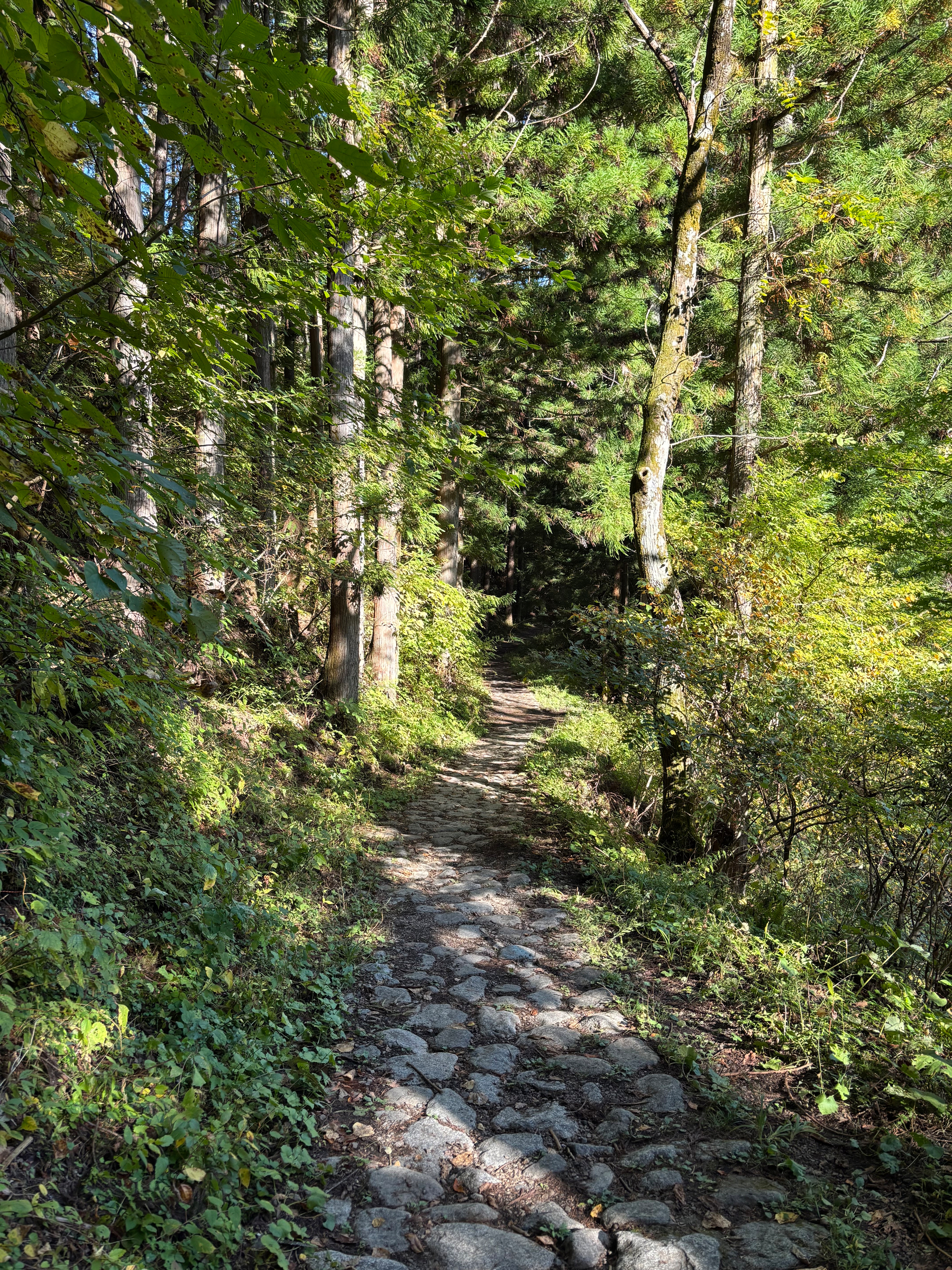 A stone path on the trail between Yabahara and Narai winds through a lush, sunlit forest with dense greenery on either side.