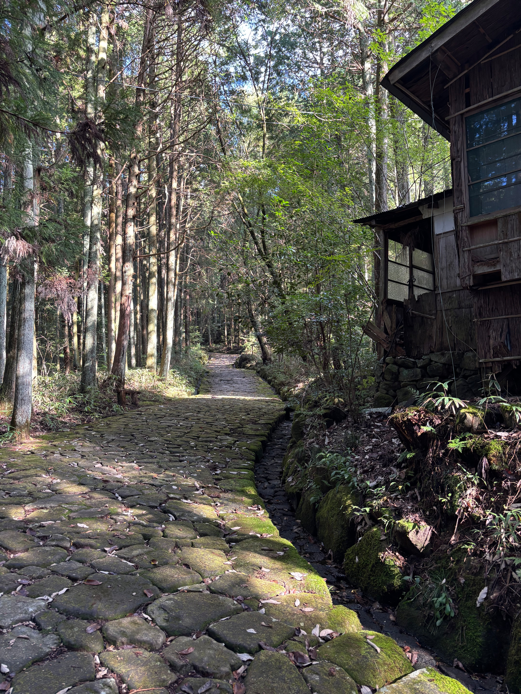 A cobblestone road in a Japanese forest with a dilapidated cabin in view.