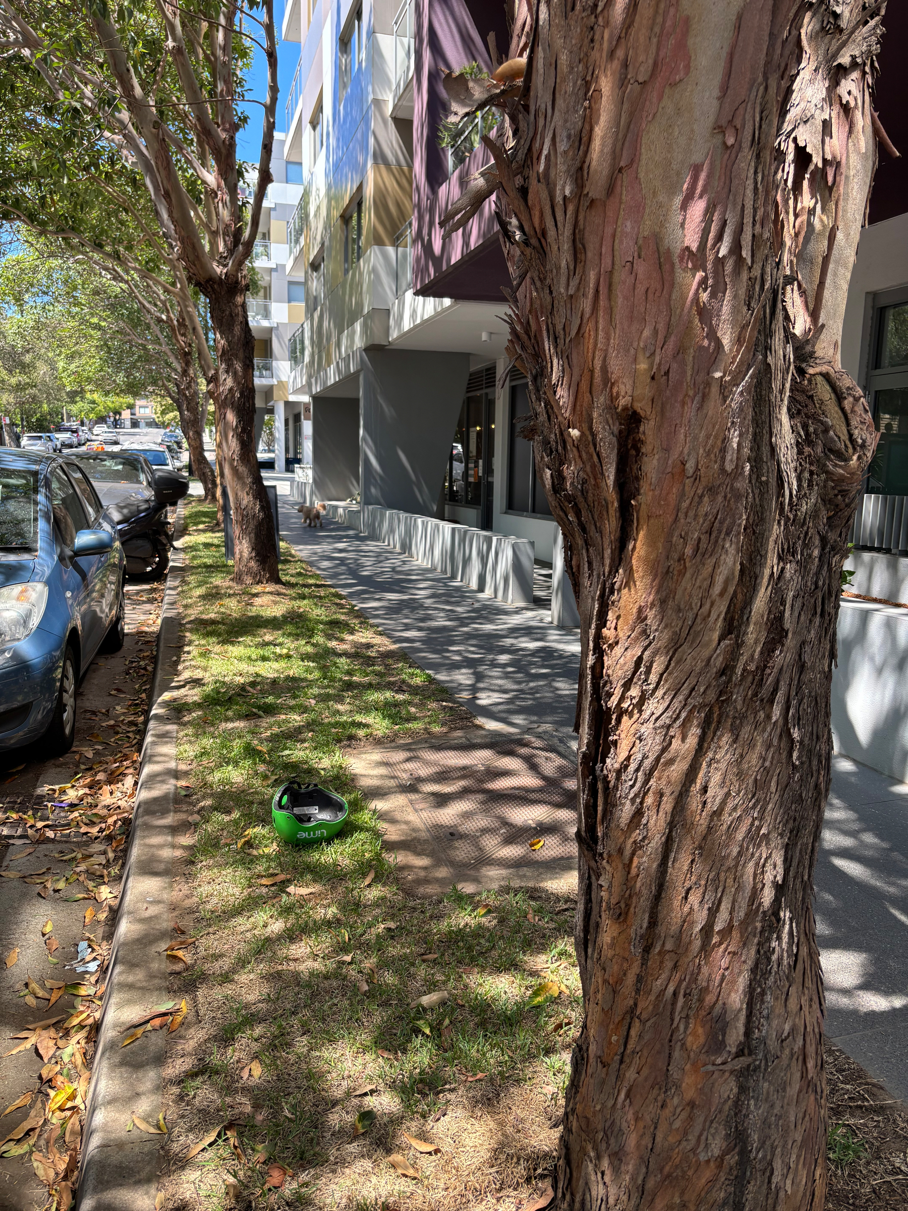 A shadow covered street scene with parked cars, a row of trees, and a green helmet on the grass.