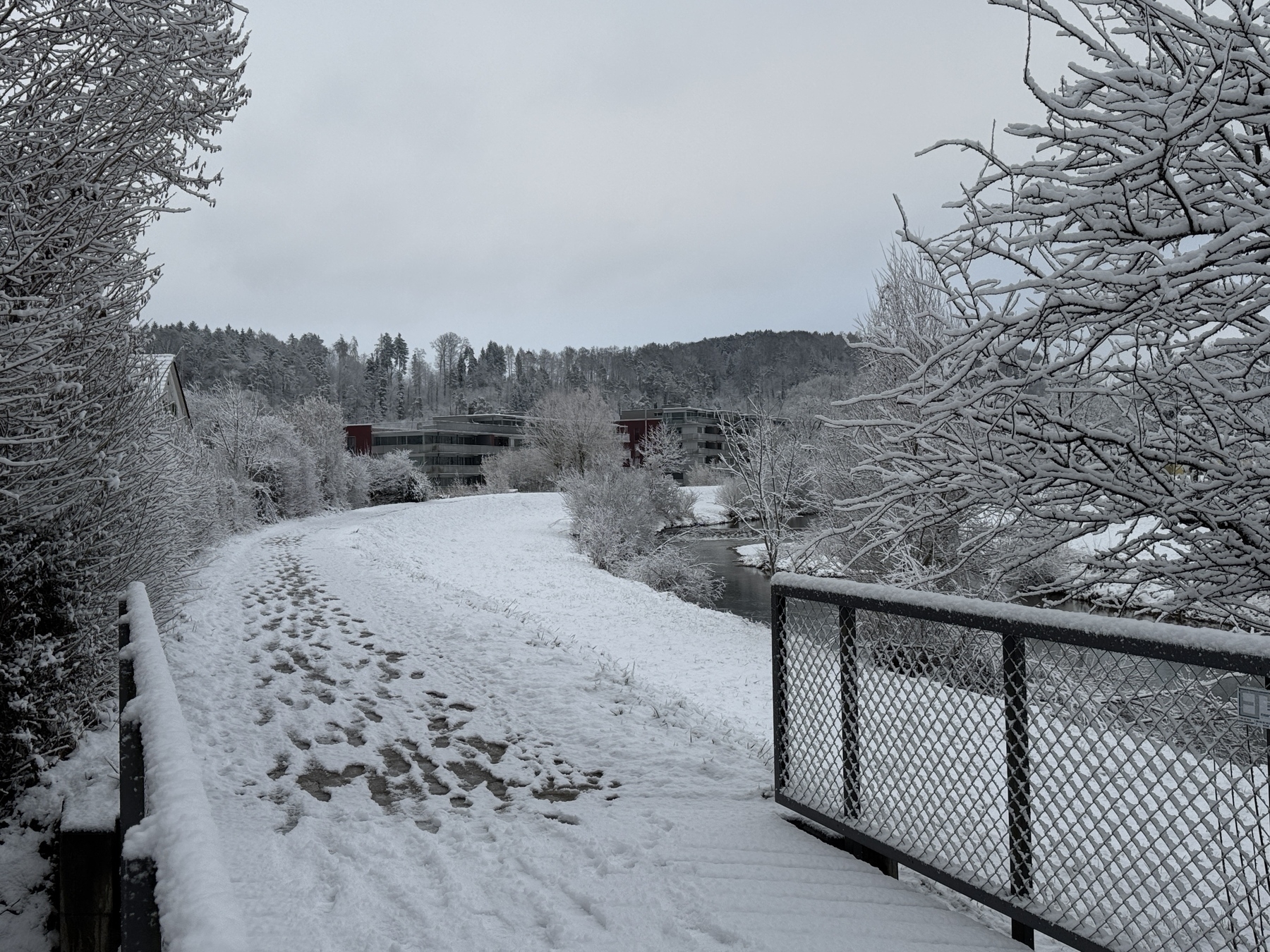 A snow-covered path flanked by trees and leading to buildings in the distance creates a serene winter landscape.