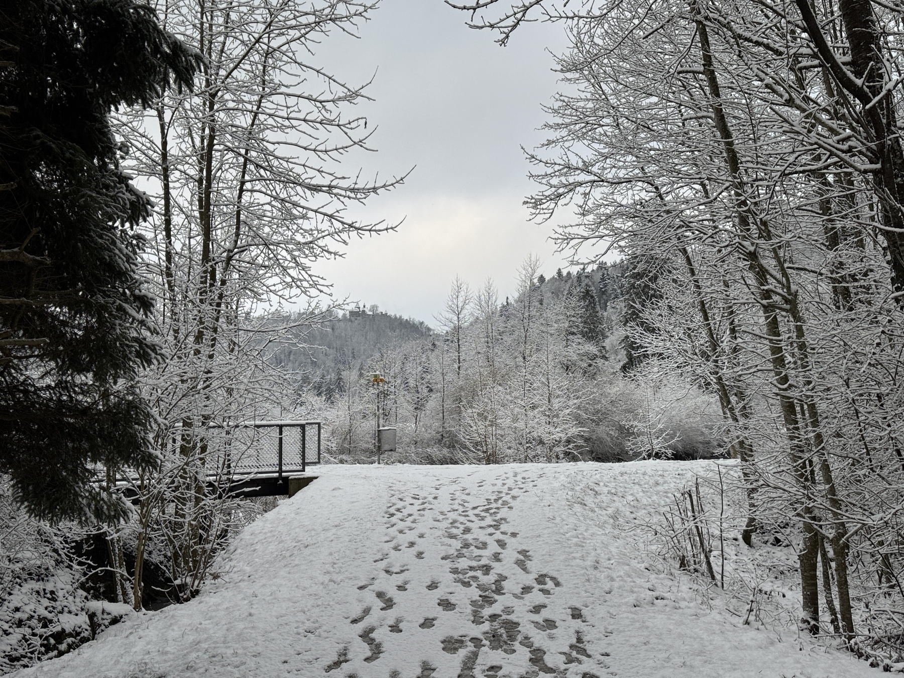 A snowy landscape features a path through snow-covered trees and a bridge leading into the distance.