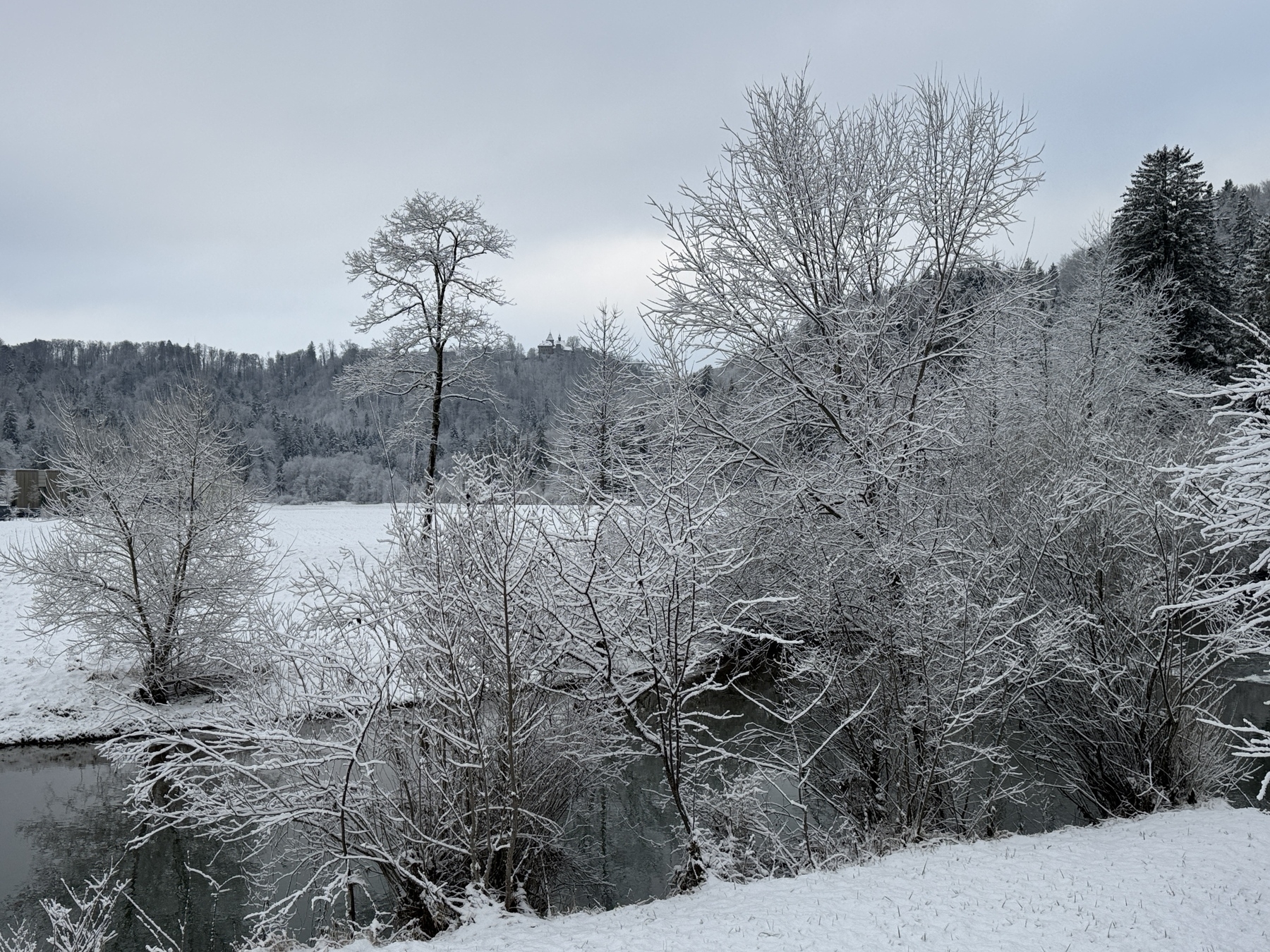 A snowy landscape features a small river surrounded by leafless, snow-laden trees and gently rolling hills under a cloudy sky.