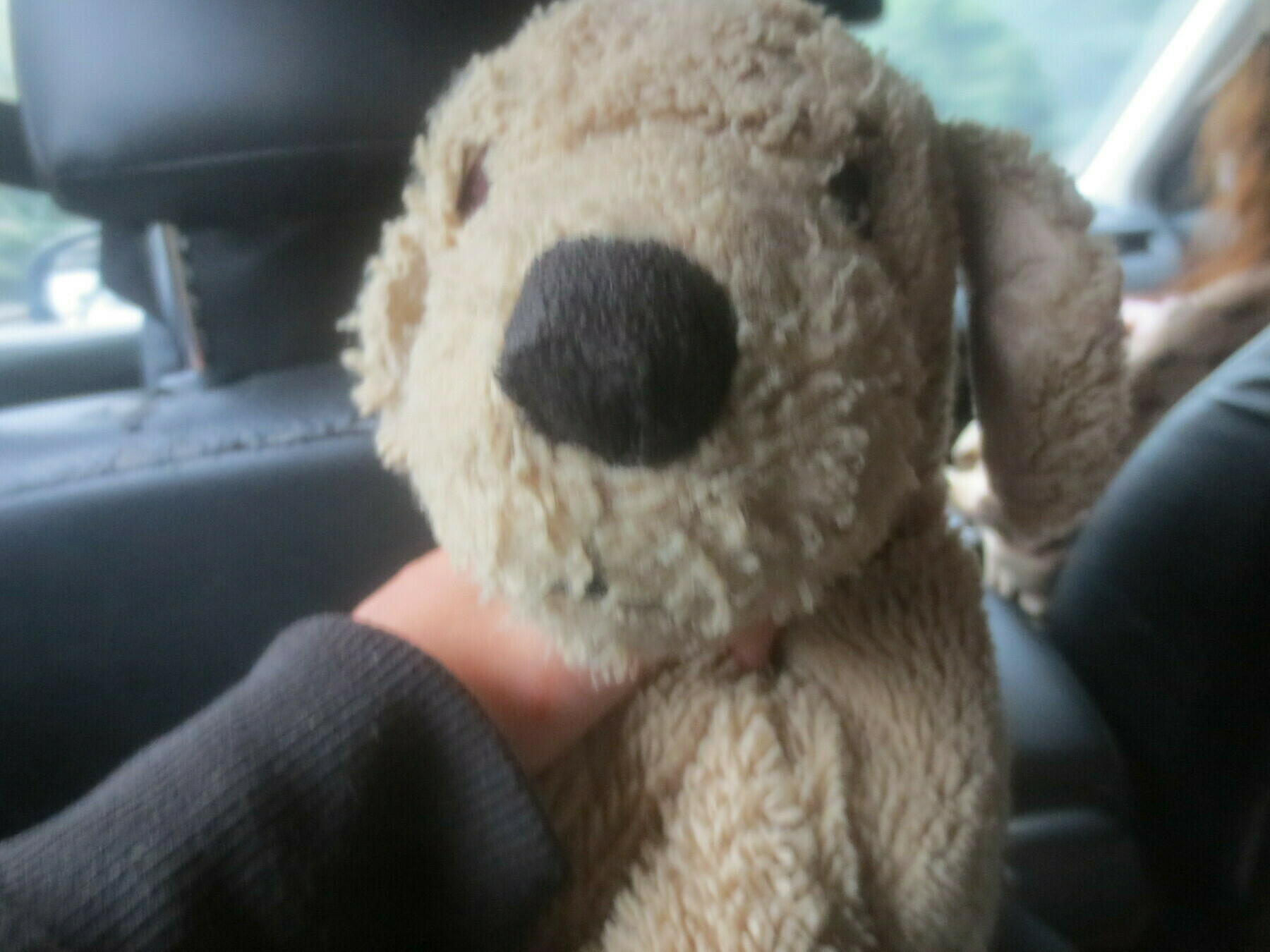 soft toy dog from IKEA