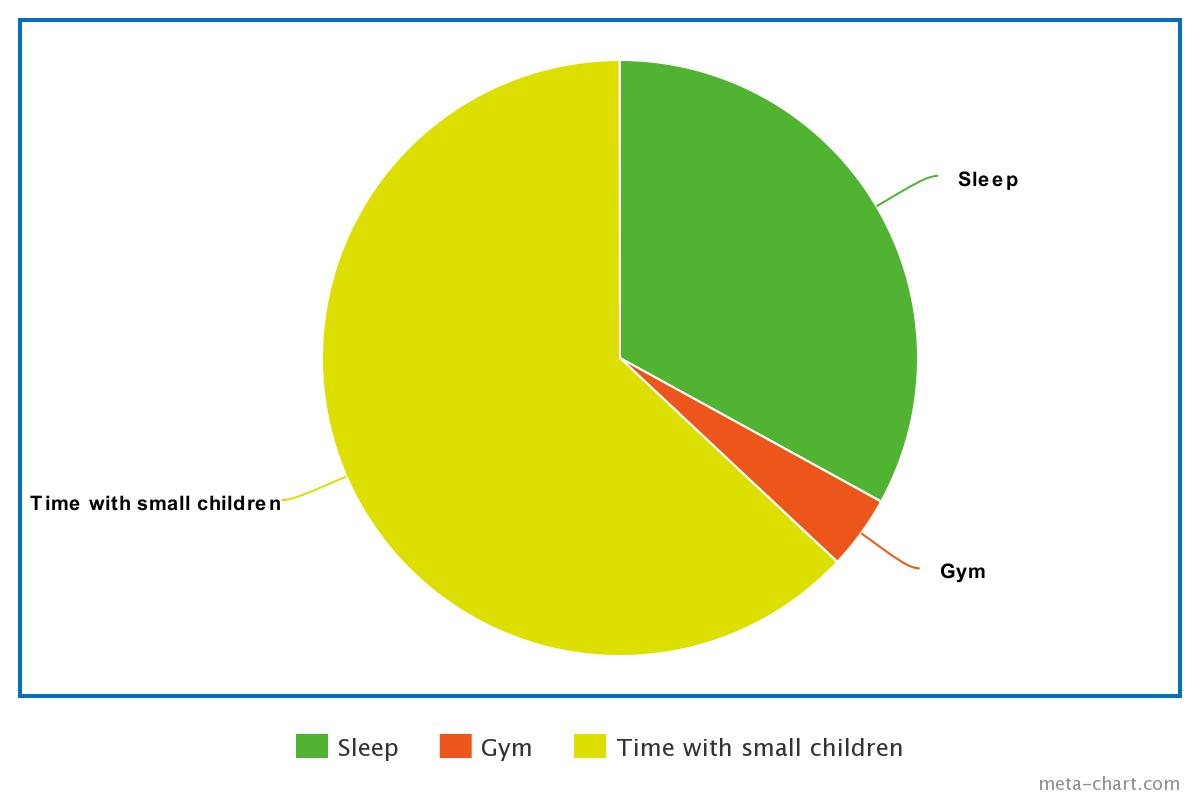 Pie chart - 33% sleep, 4% gym, 67% time with small children