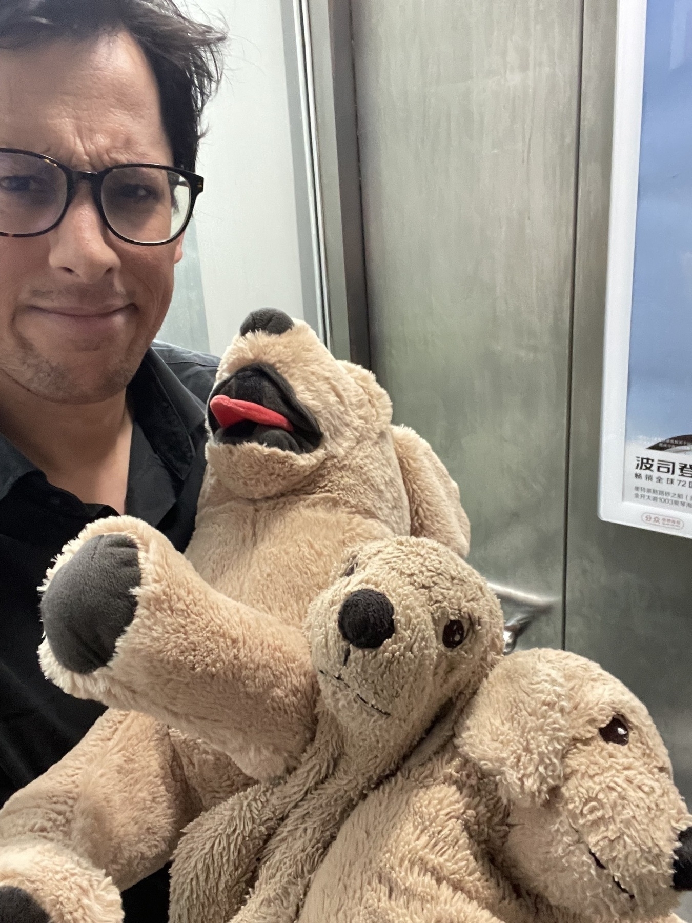 exasperated man holding 3 toy dogs