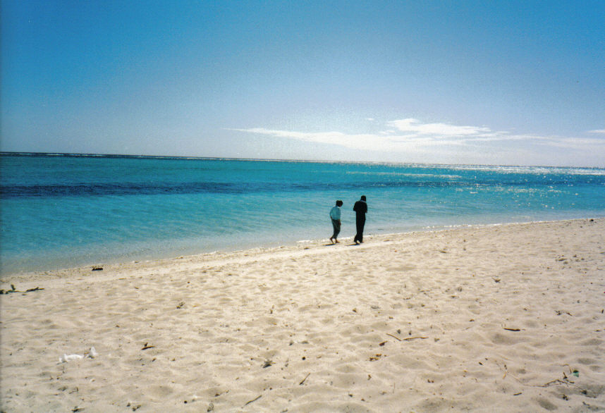 Two people are walking along a serene, sandy beach with a vast, calm ocean under a clear blue sky.