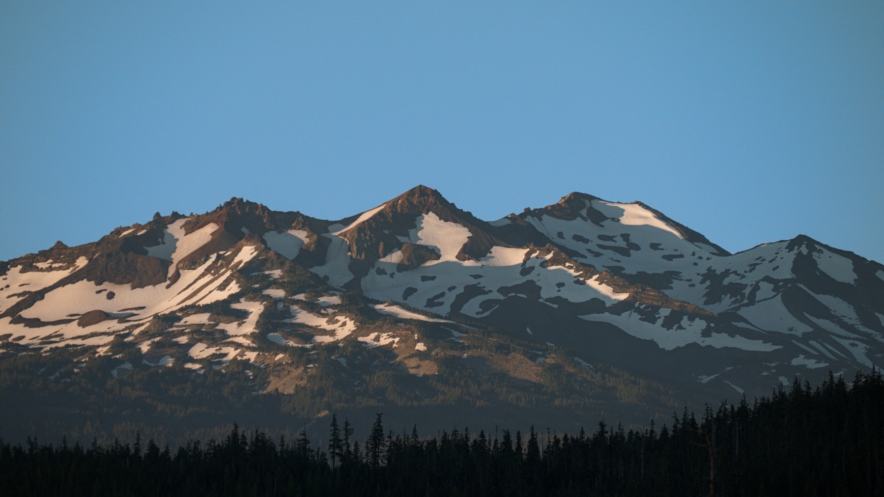 forested mountain with snow