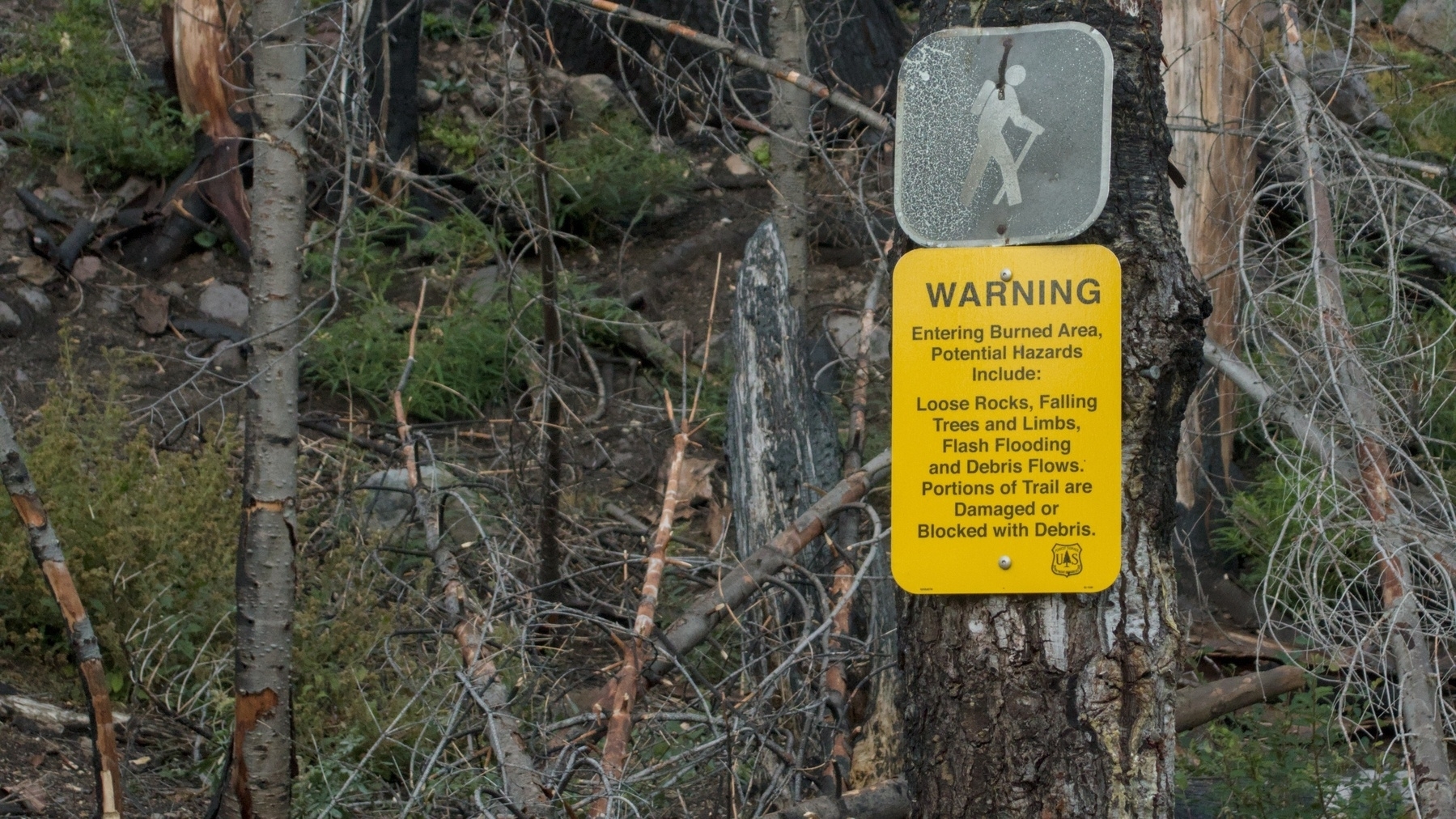 burned area warning sign on the trail