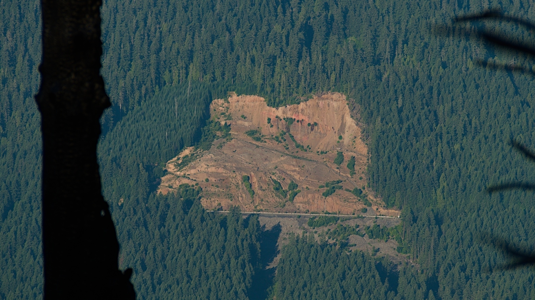 landslide scar in the forest