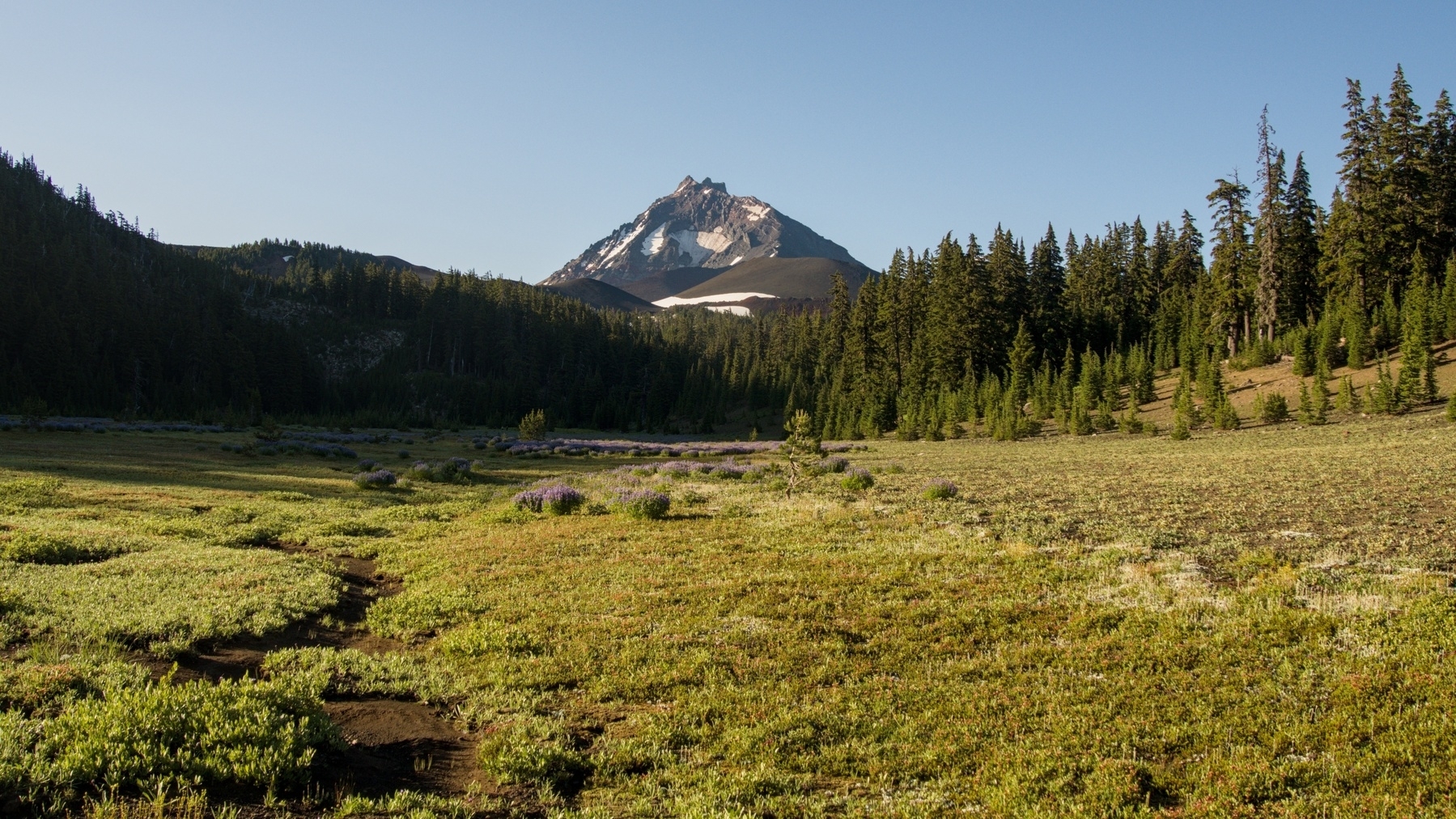 mountain behind a meadow