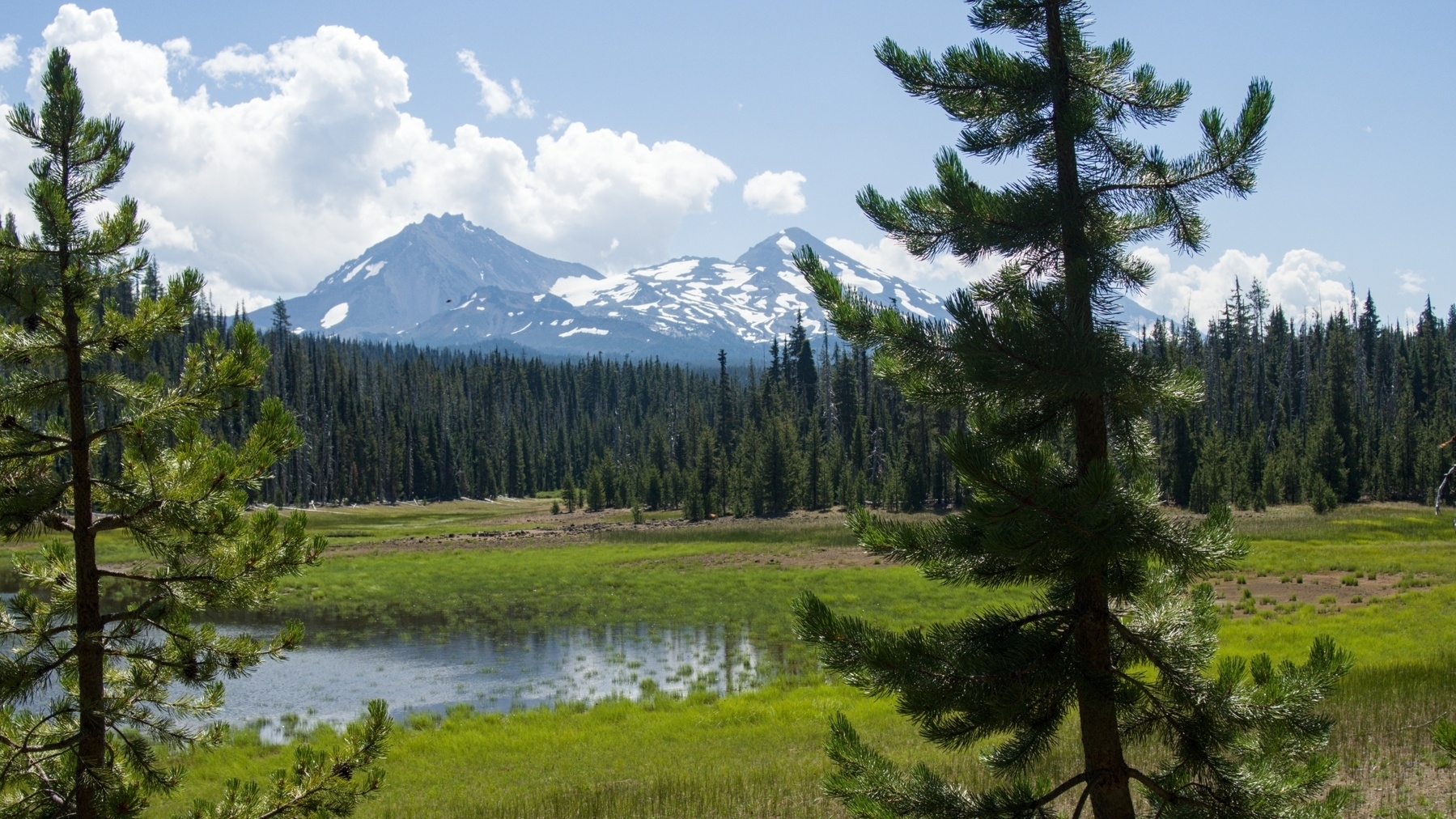mountains looming over a small forest lake