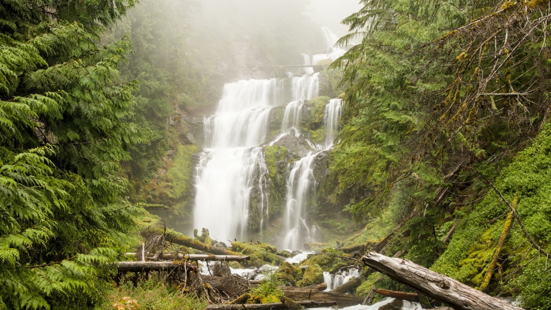 waterfall in the woods