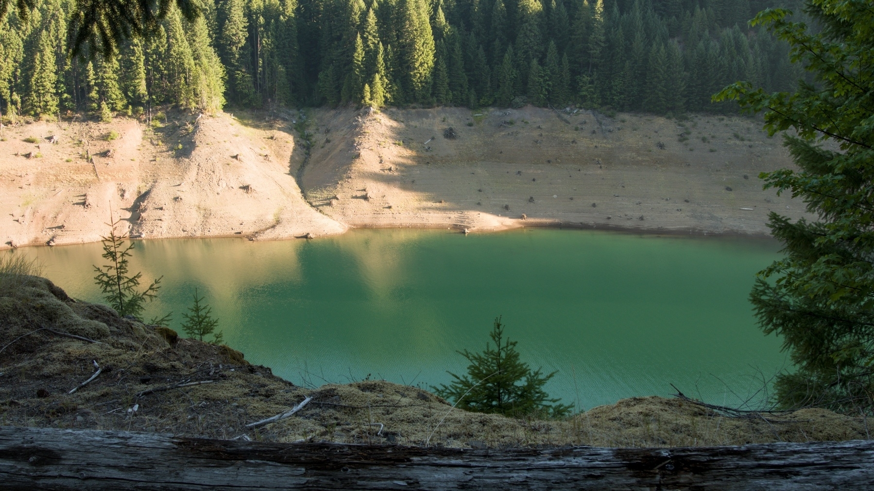 Cougar Reservoir after a drawdown