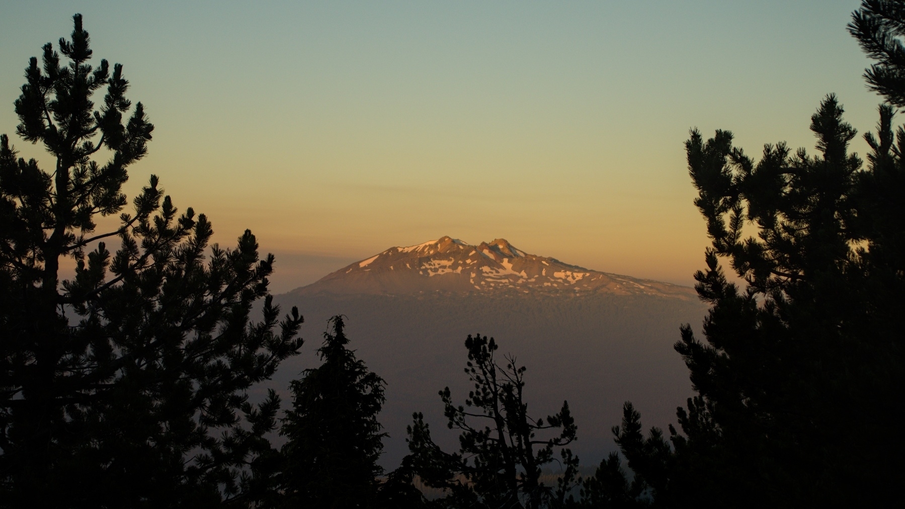 mountain seen through the trees at dawn