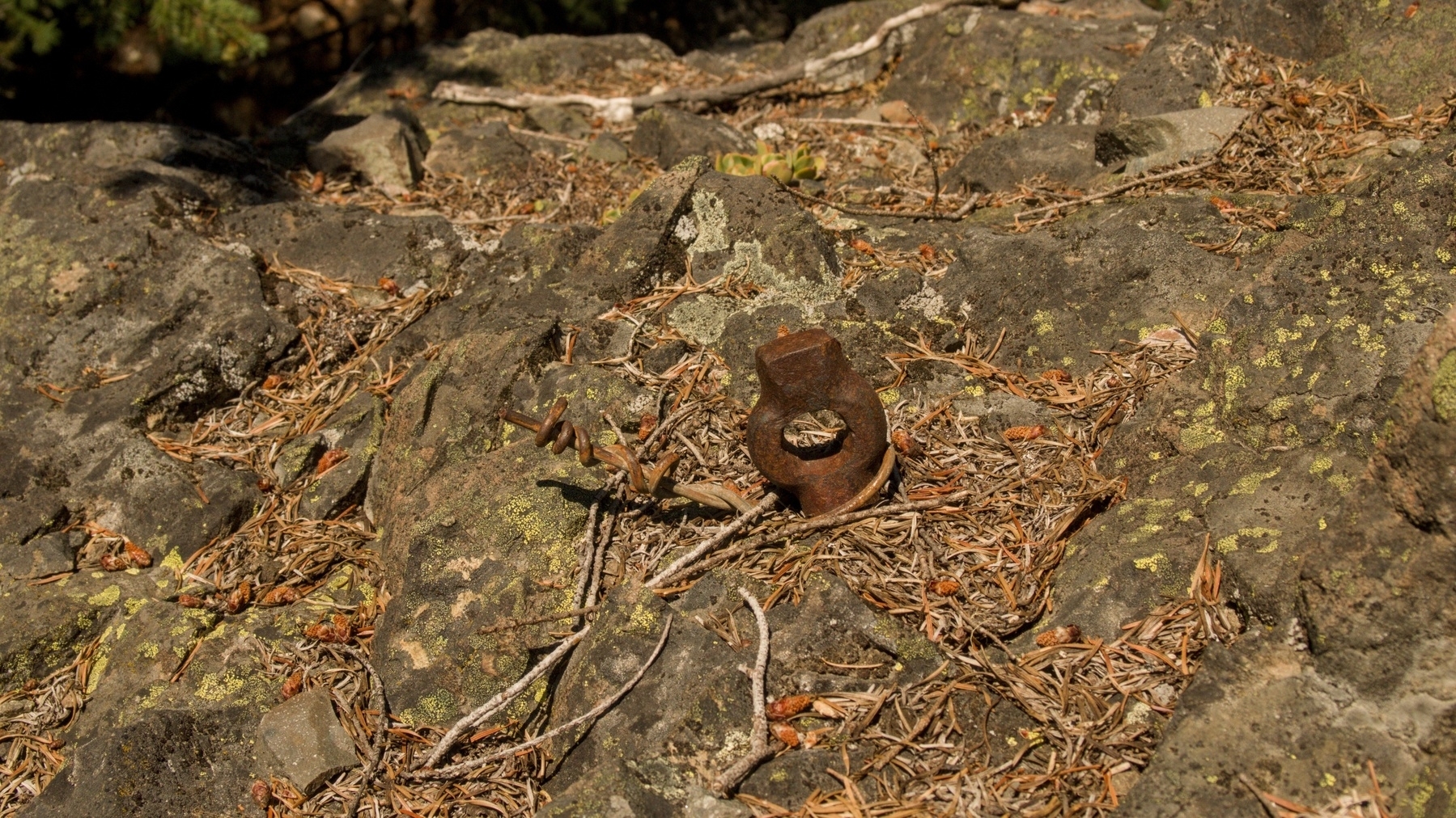 eyebolt set in the rock