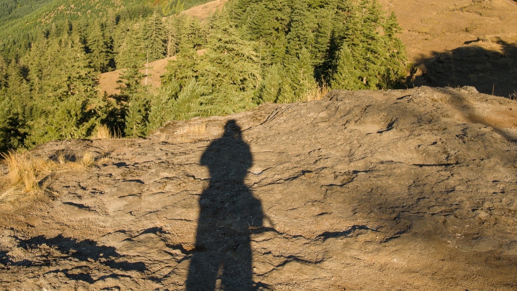 shadow on a rock