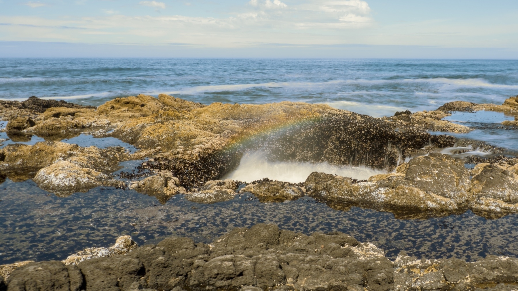 ocean and rocks with a rainbow in the spray from the waves