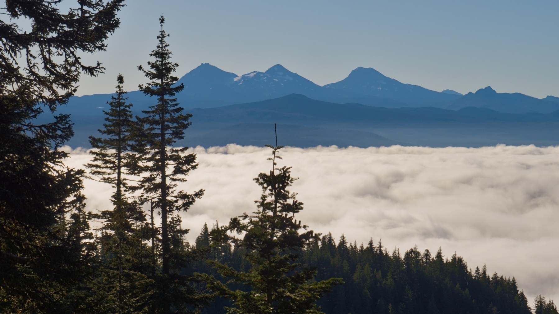 Three Sisters above a layer of low cloud