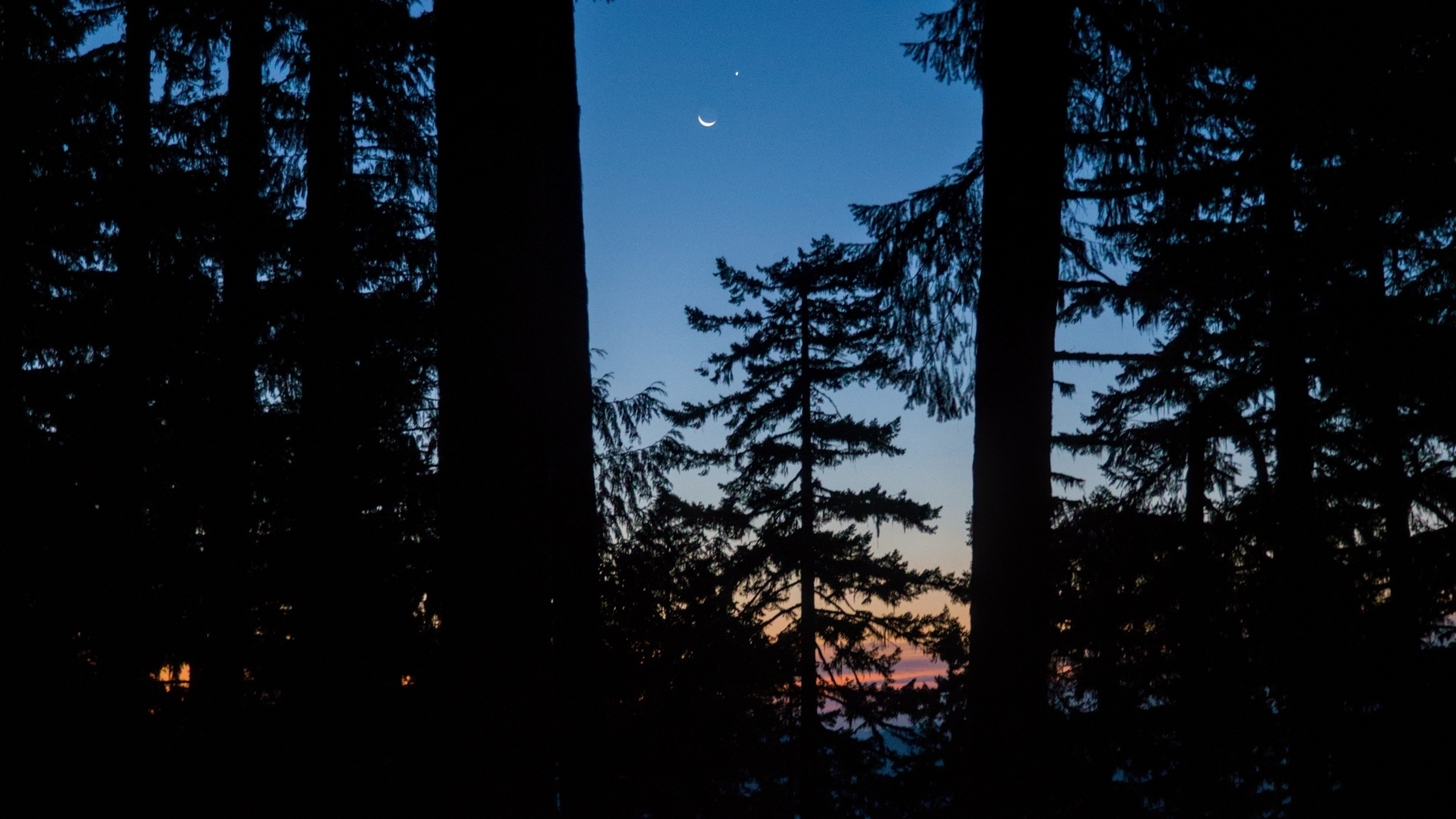 Moon and Venus over the forest just before sunrise