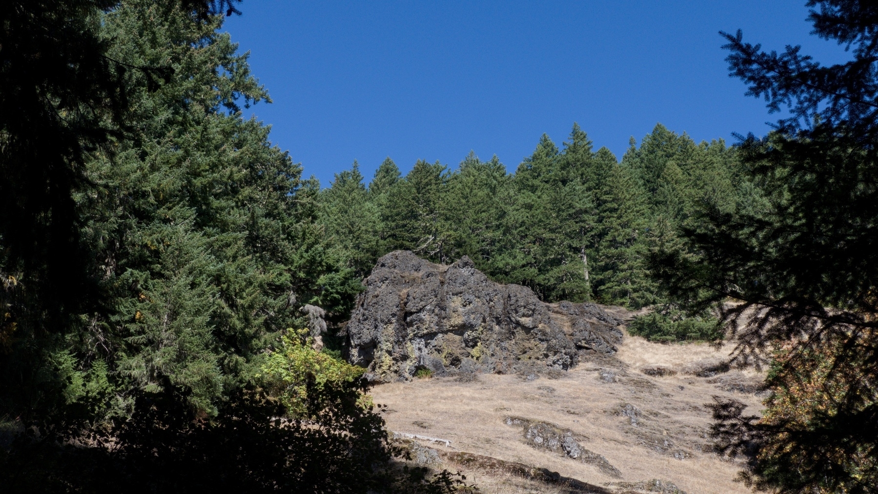 odd rock formation apparently moving across a meadow