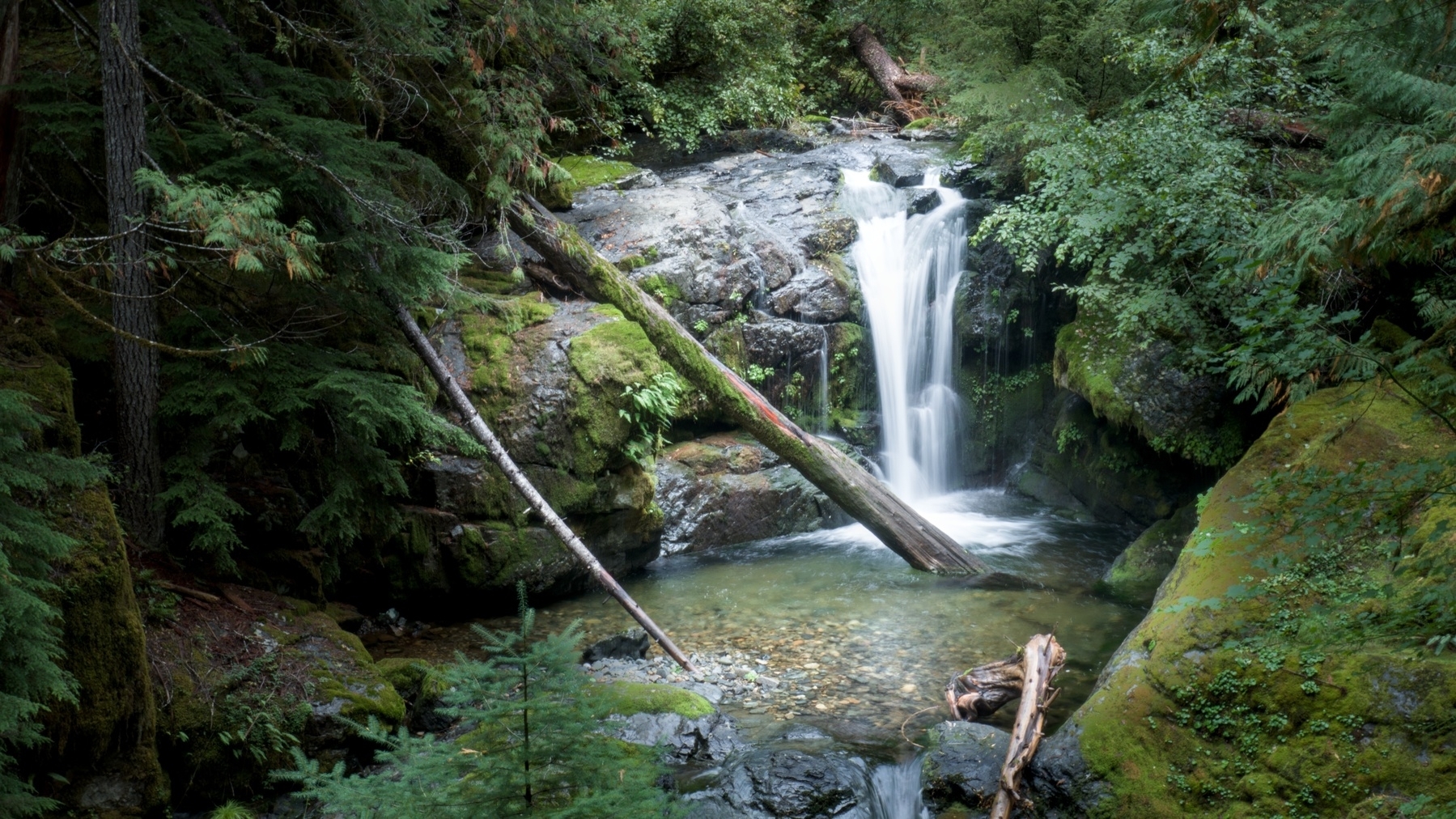 waterfall in the forest