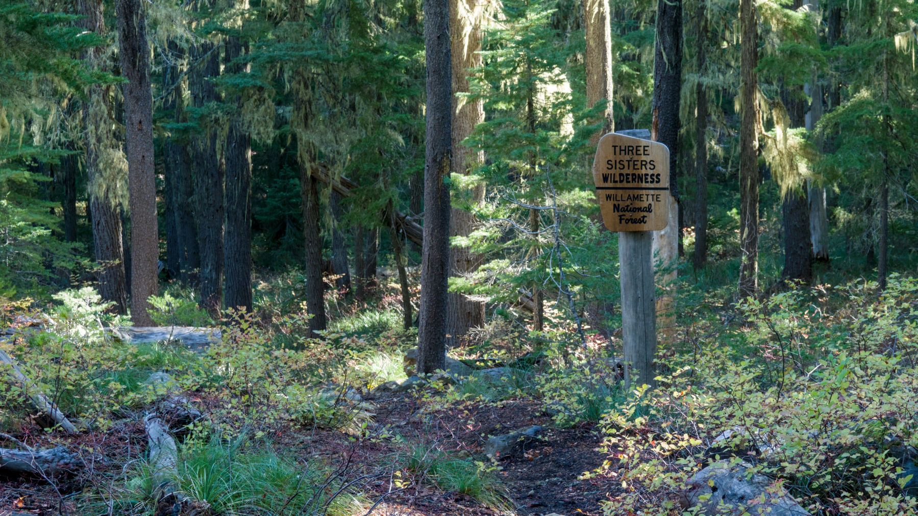 three sisters wilderness sign