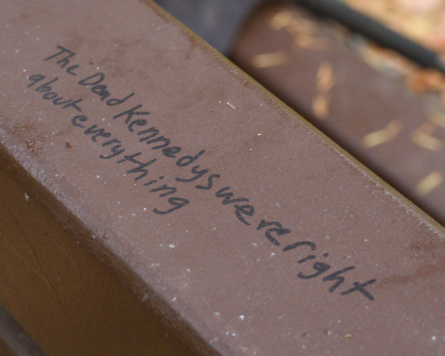 "The Dead Kennedys were right about everything"