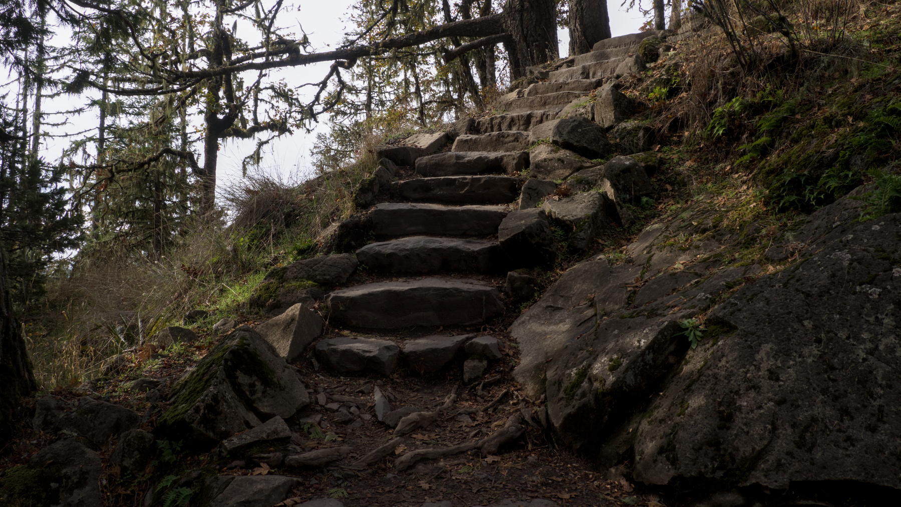 stone stairs heading up a hill