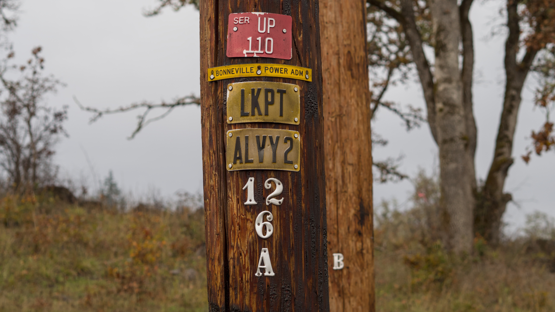 telephone pole with lots of cryptic metal plates