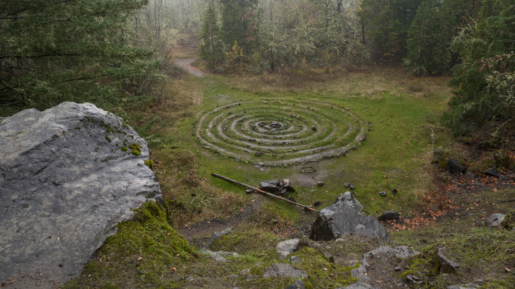 a spiral path in the woods