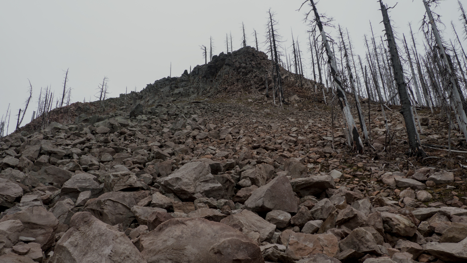 collapsing scree field