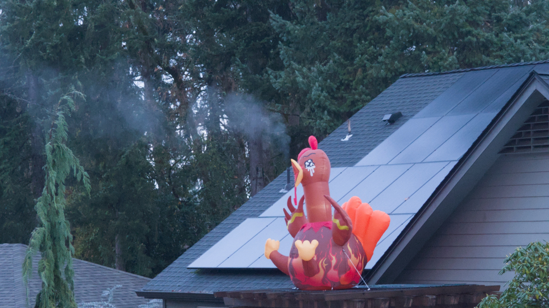 inflated turkey on a roof