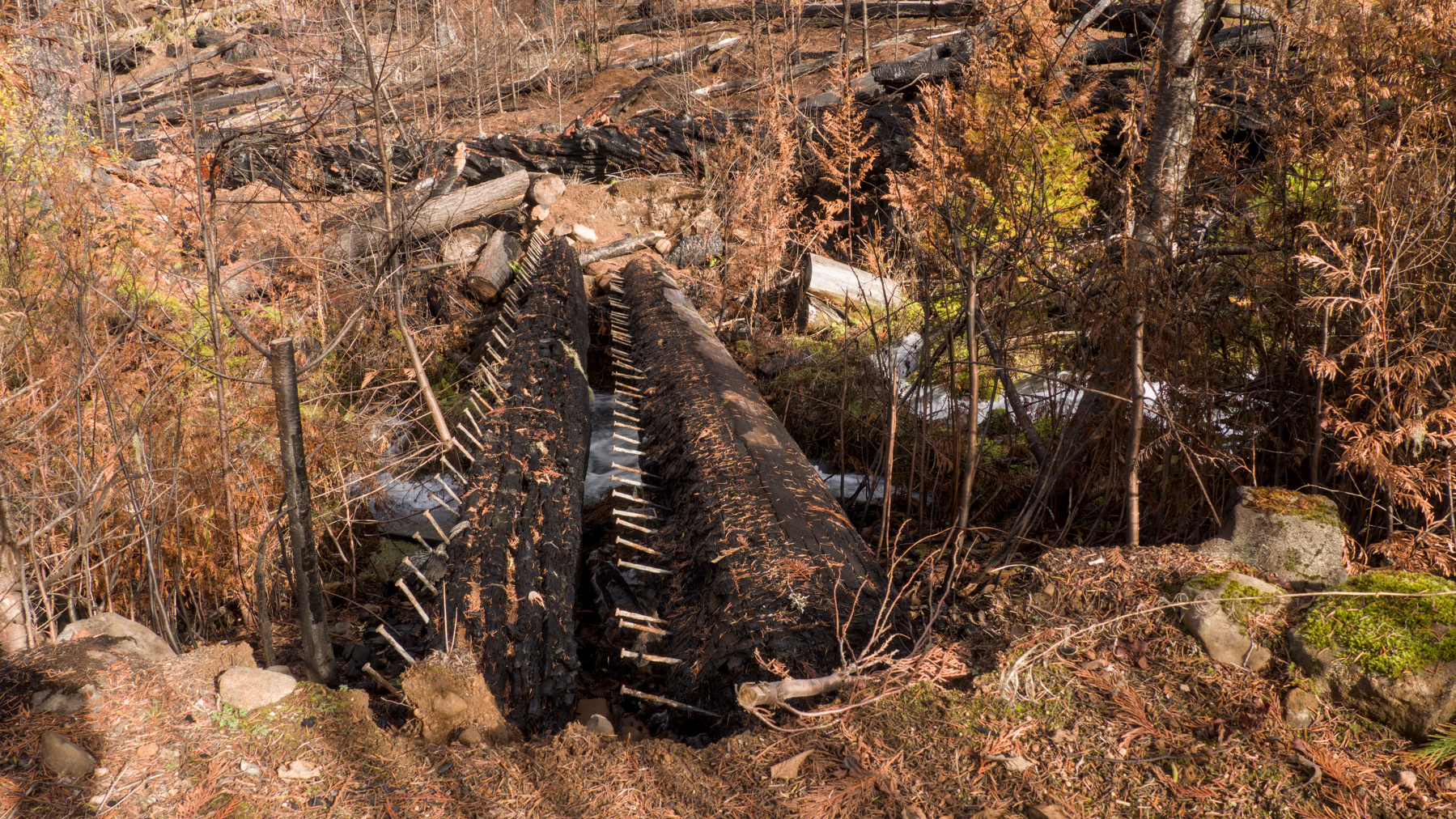 burned-out trail bridge