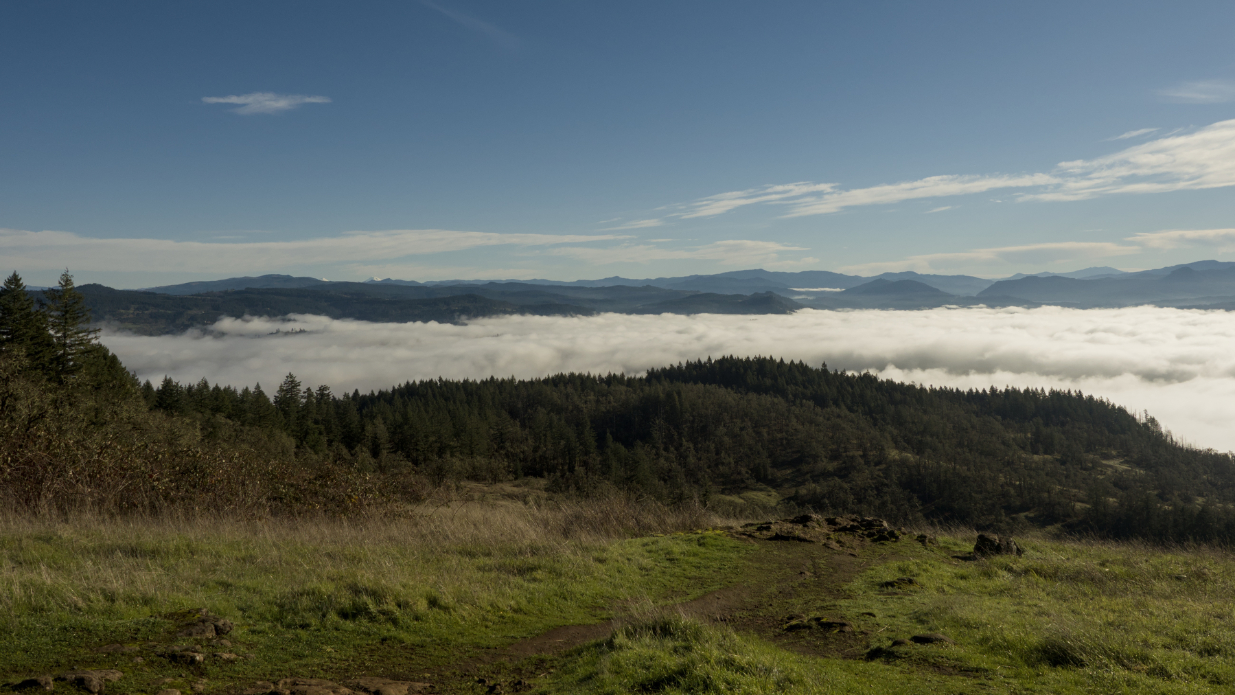 meadow and mountains above the clouds