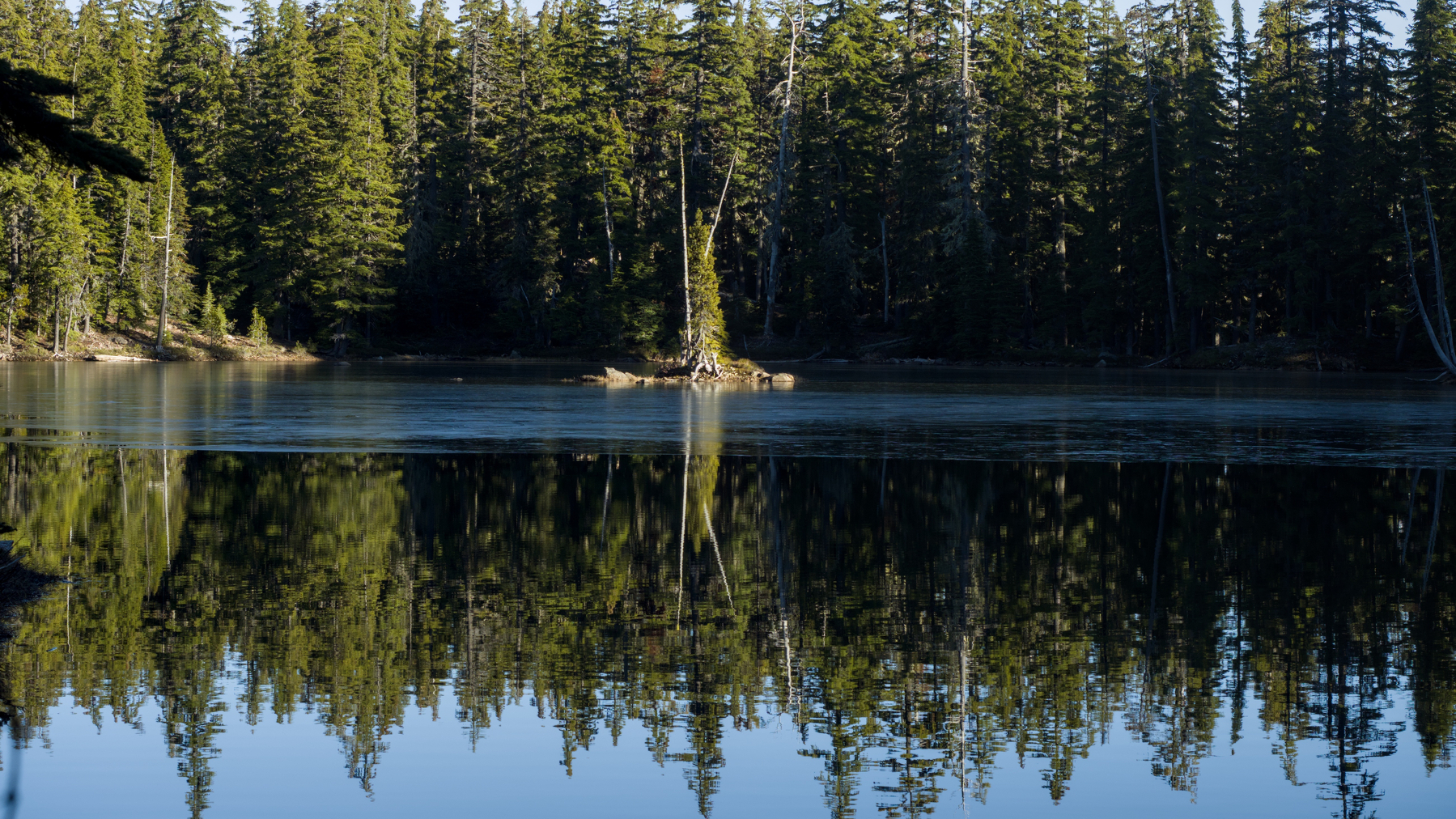 trees reflected in an alpine lake