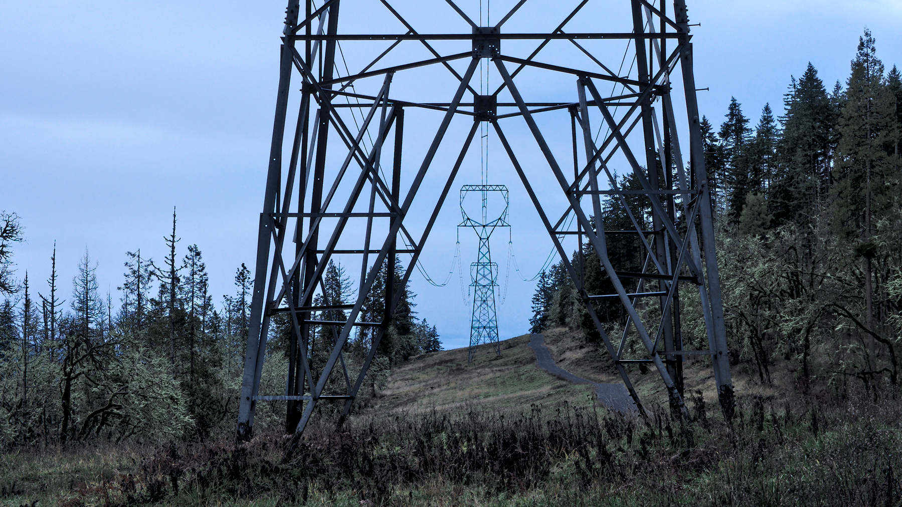 electric pylons in the woods