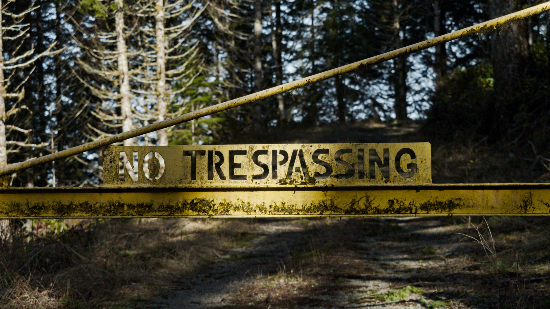 "no trespassing" metal cutout sign