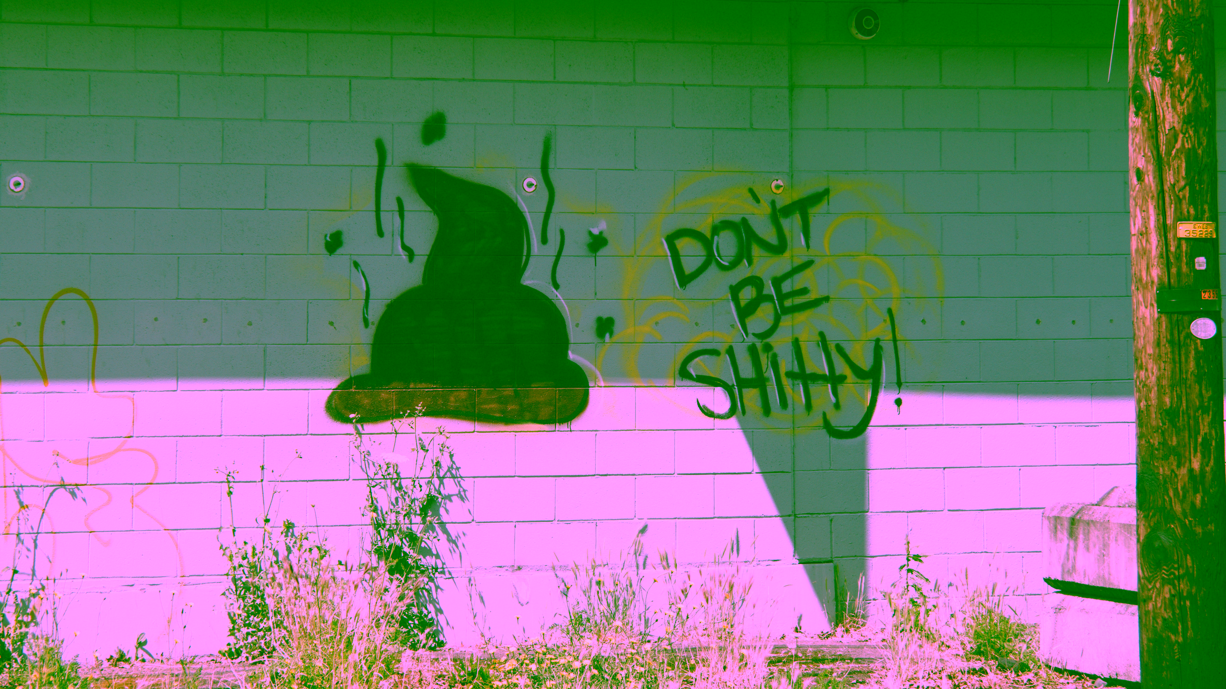 "DON'T BE SHITTY" written on a wall along with a giant poop emoji