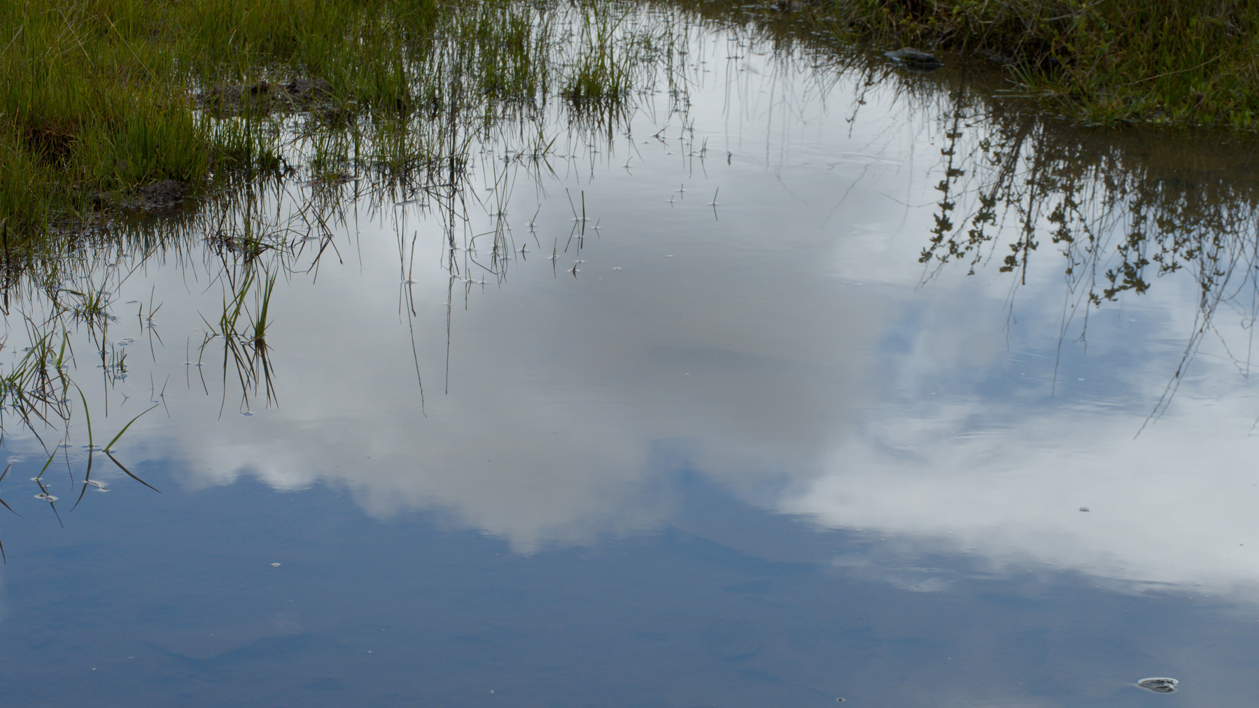Sky and clouds reflected in a puddle