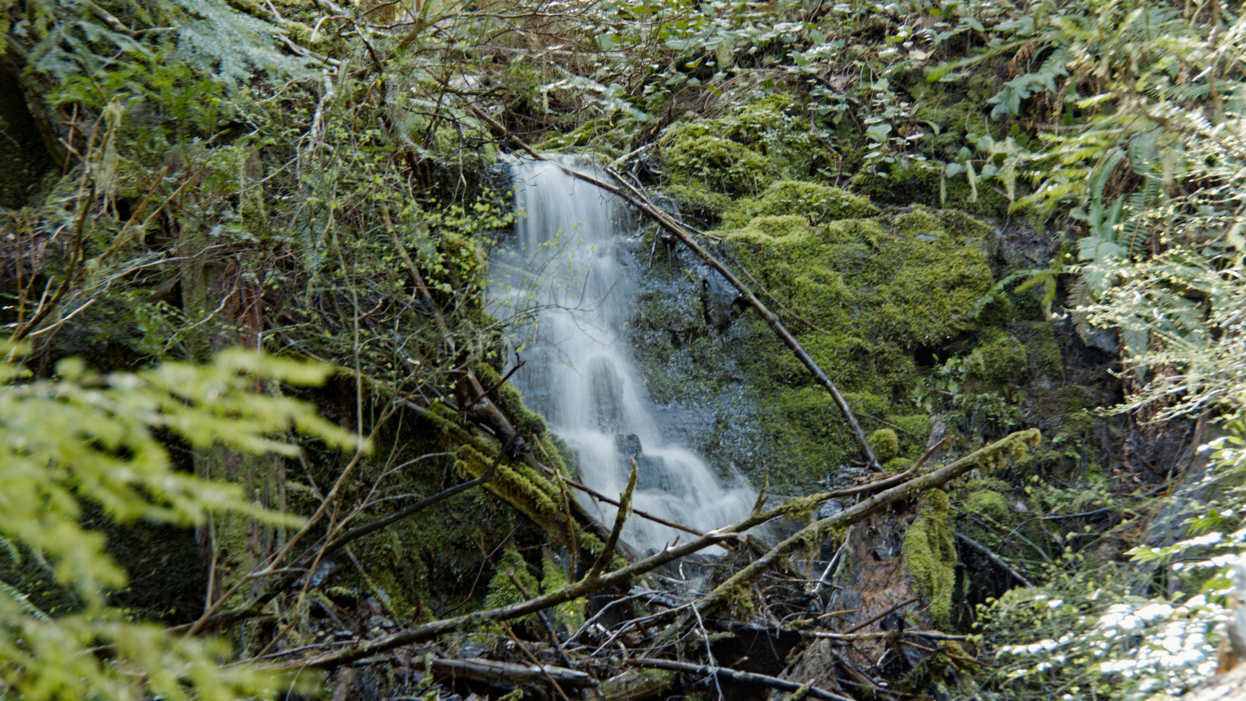a small waterfall in the woods