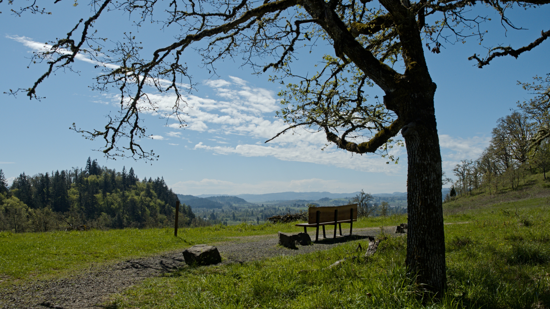 bench under a tree, looking out over a valley with blue sky and clouds