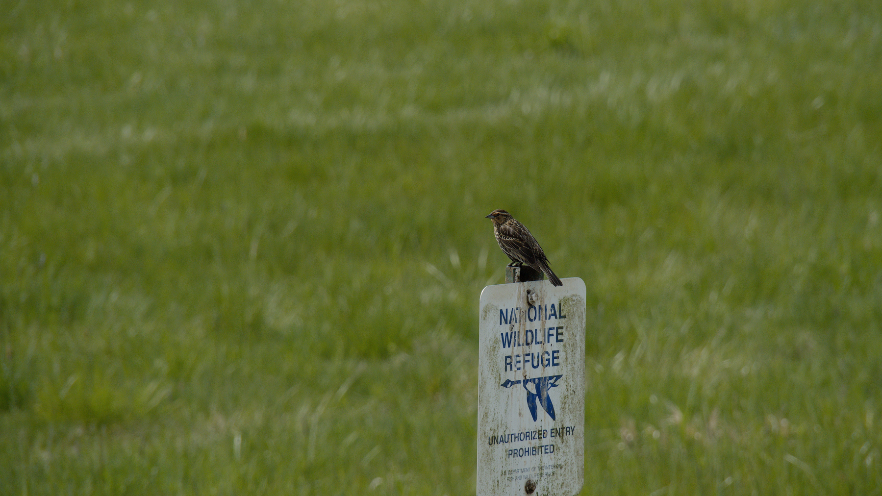 bird on a wildlife refuge sign