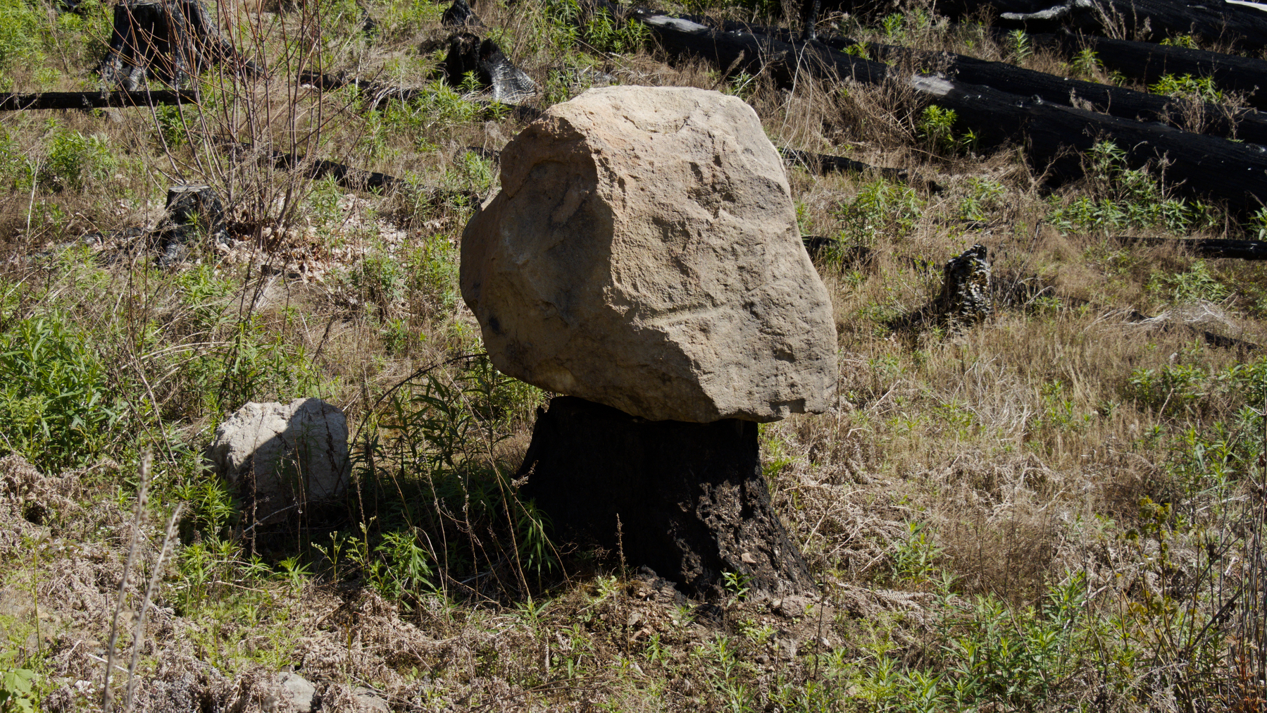 large rock balanced on top of a charred stump