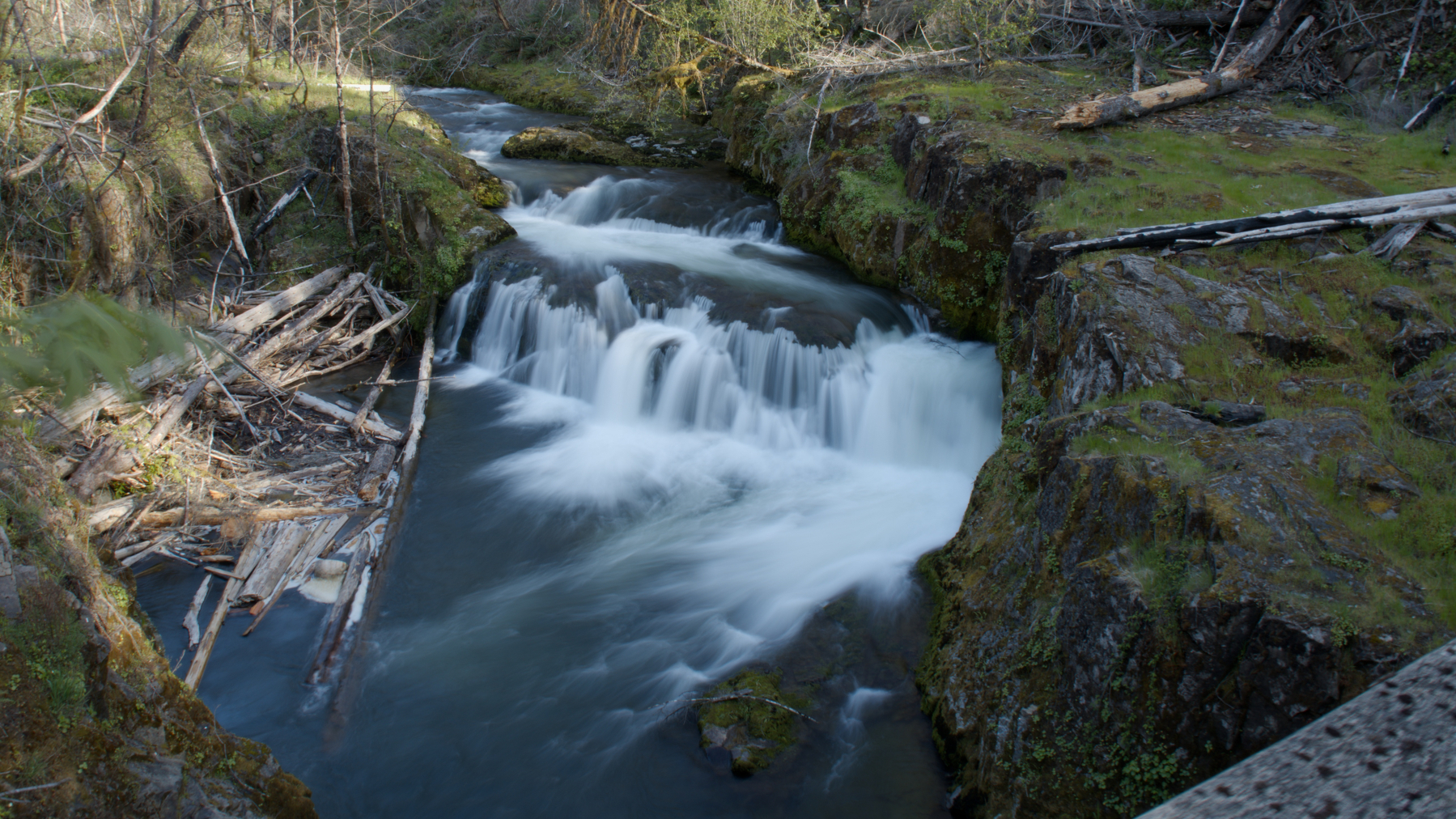 a waterfall in the woods