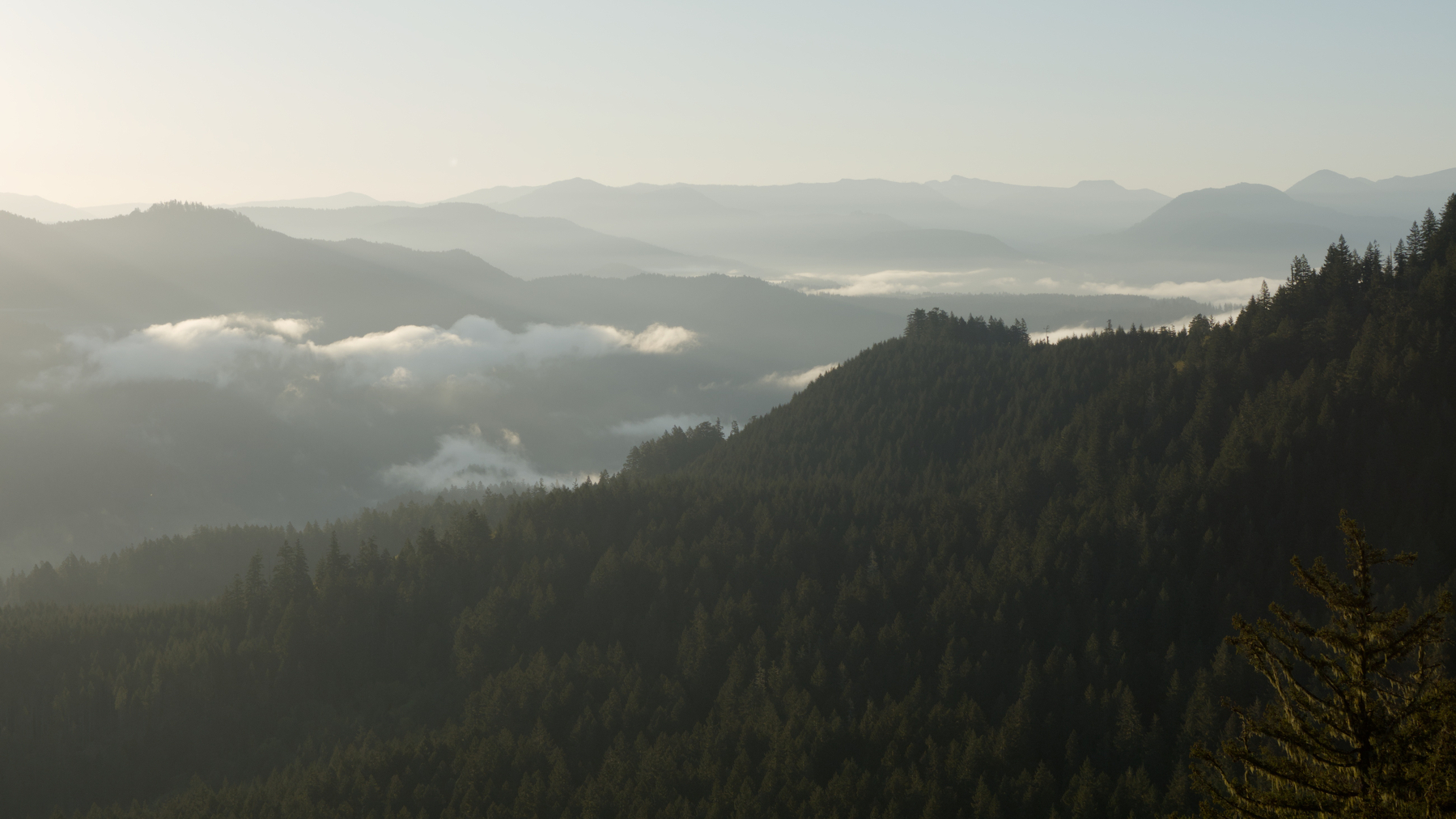 Forested hills and low clouds