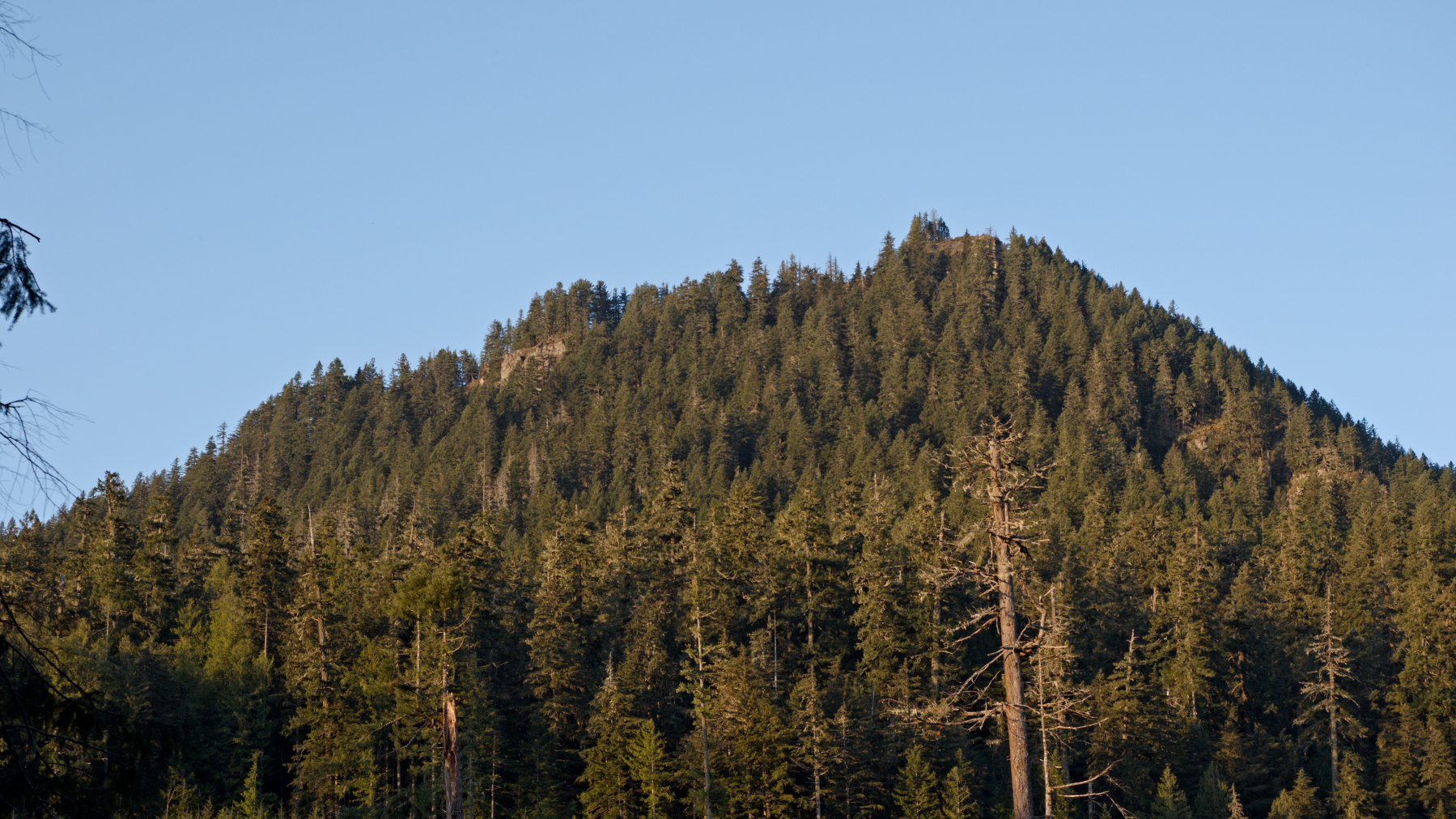 forested mountain against the sky