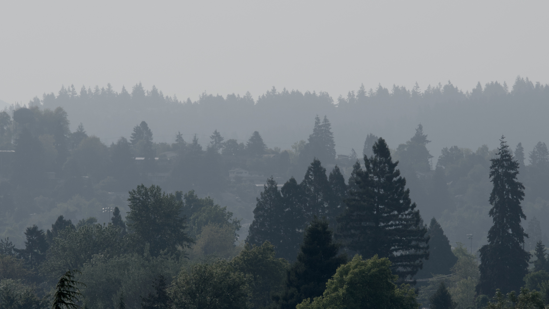 tree-covered hills in Eugene